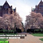 Clinical Assistant Professor Job in USA 2025 | University of Washington