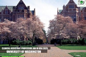 Clinical Assistant Professor Job in USA 2025 | University of Washington