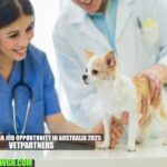 Veterinarian Job Opportunity in Australia 2025 | VetPartners