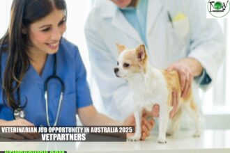 Veterinarian Job Opportunity in Australia 2025 | VetPartners