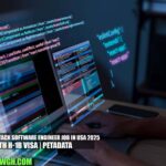 Agile Full Stack Software Engineer Job in USA 2025 with H-1B Visa | PETADATA