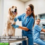 Australia Veterinary Surgeon Jobs 2025