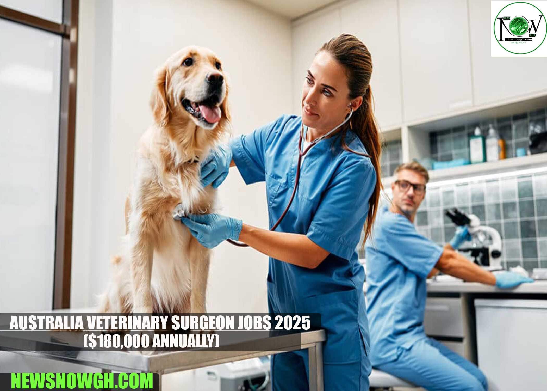 Australia Veterinary Surgeon Jobs 2025