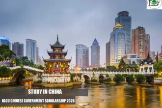 BLCU Chinese Government Scholarship
