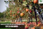 Canada Apple Picker Jobs with Visa Sponsorship
