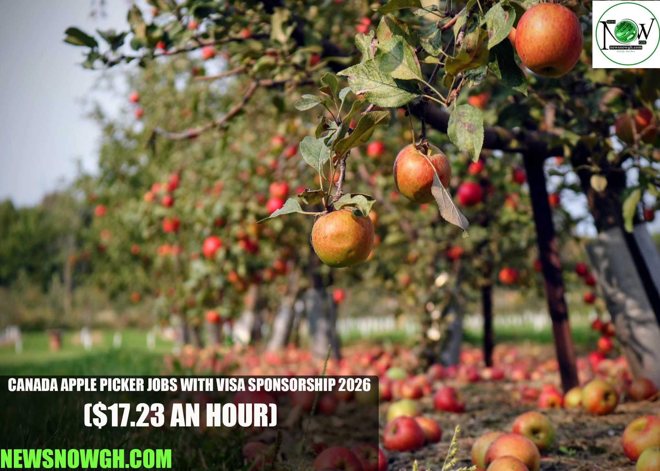 Canada Apple Picker Jobs with Visa Sponsorship