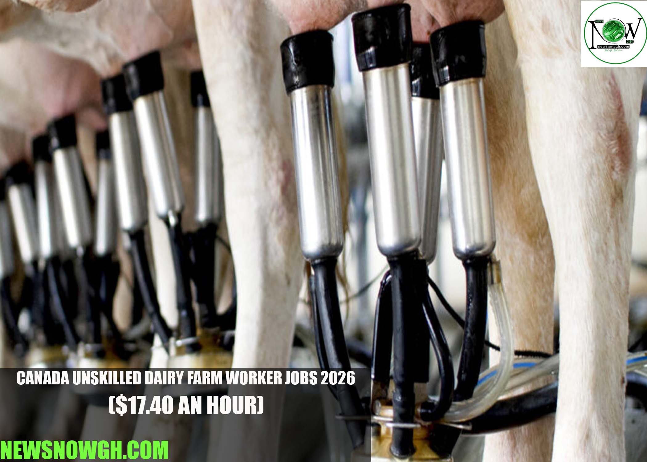 Canada Unskilled Dairy Farm Worker Jobs 2026