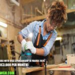 Carpenter Jobs with Visa Sponsorship in France 2026