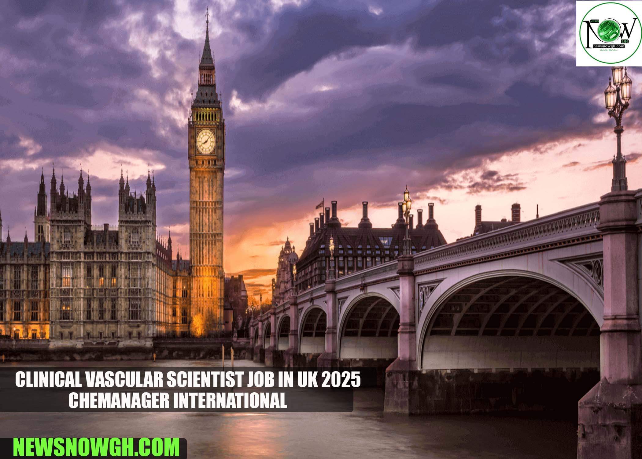 Clinical Vascular Scientist Job in UK 2025 | CHEManager International