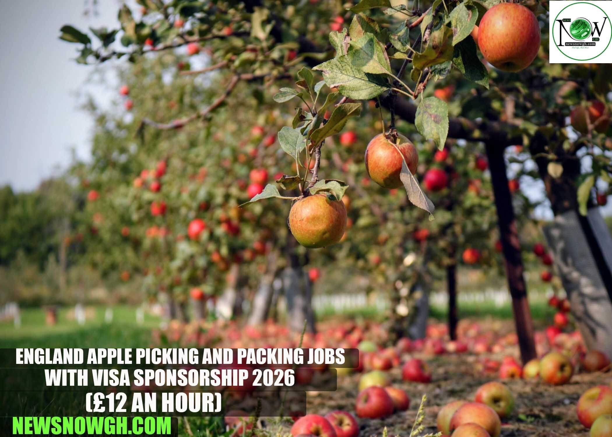 England Apple Picking and Packing Jobs