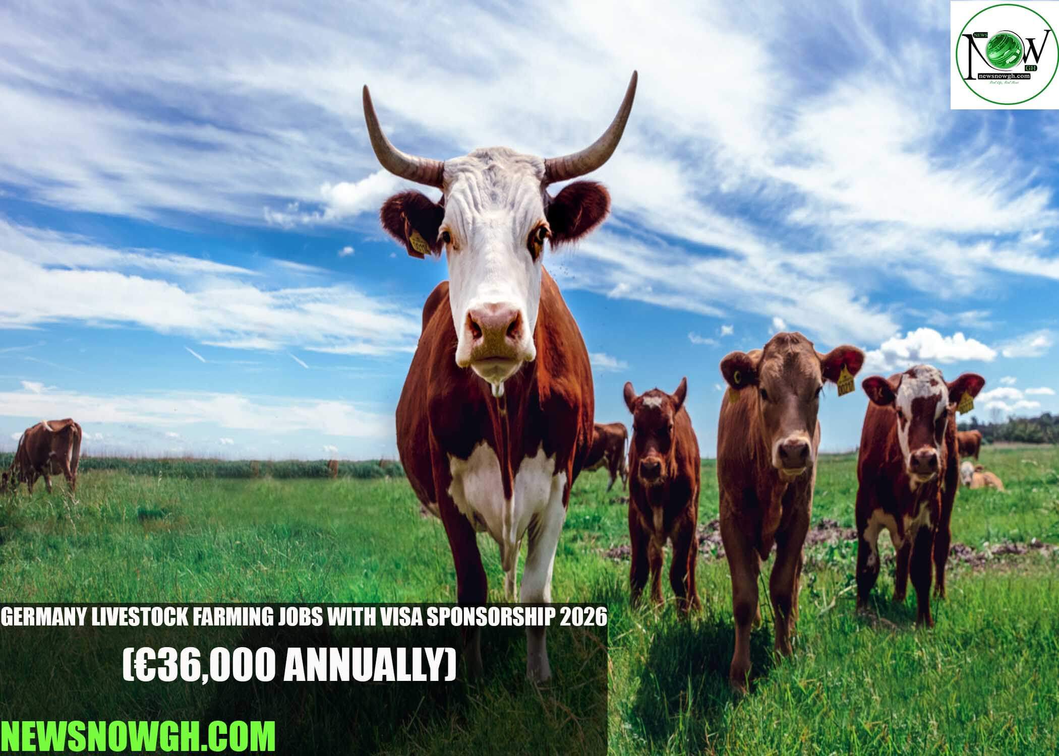 Germany Livestock Farming Jobs with Visa Sponsorship 2026