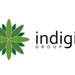 Indigin Group