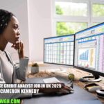 Insurance Credit Analyst Job in UK 2025 | Cameron Kennedy