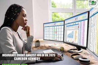 Insurance Credit Analyst Job in UK 2025 | Cameron Kennedy