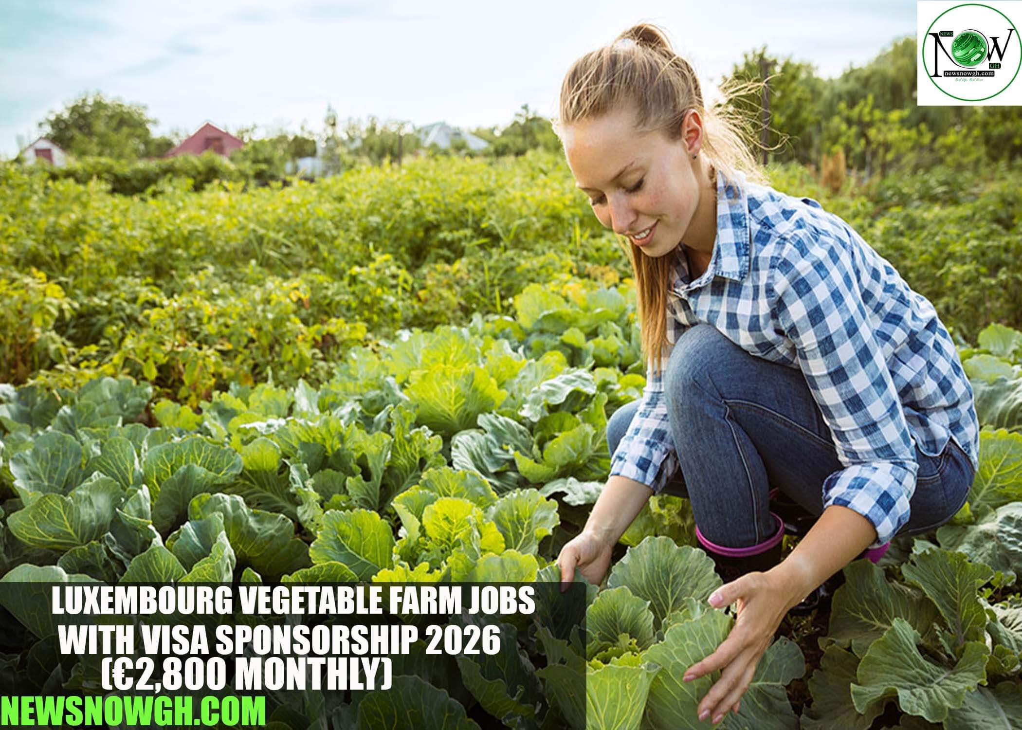 Luxembourg Vegetable Farm Jobs