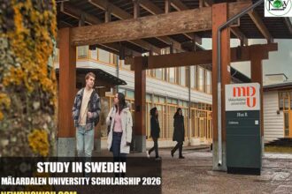Mälardalen University Scholarship