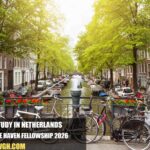 NIAS Safe Haven Fellowship