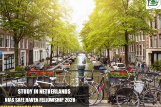 NIAS Safe Haven Fellowship