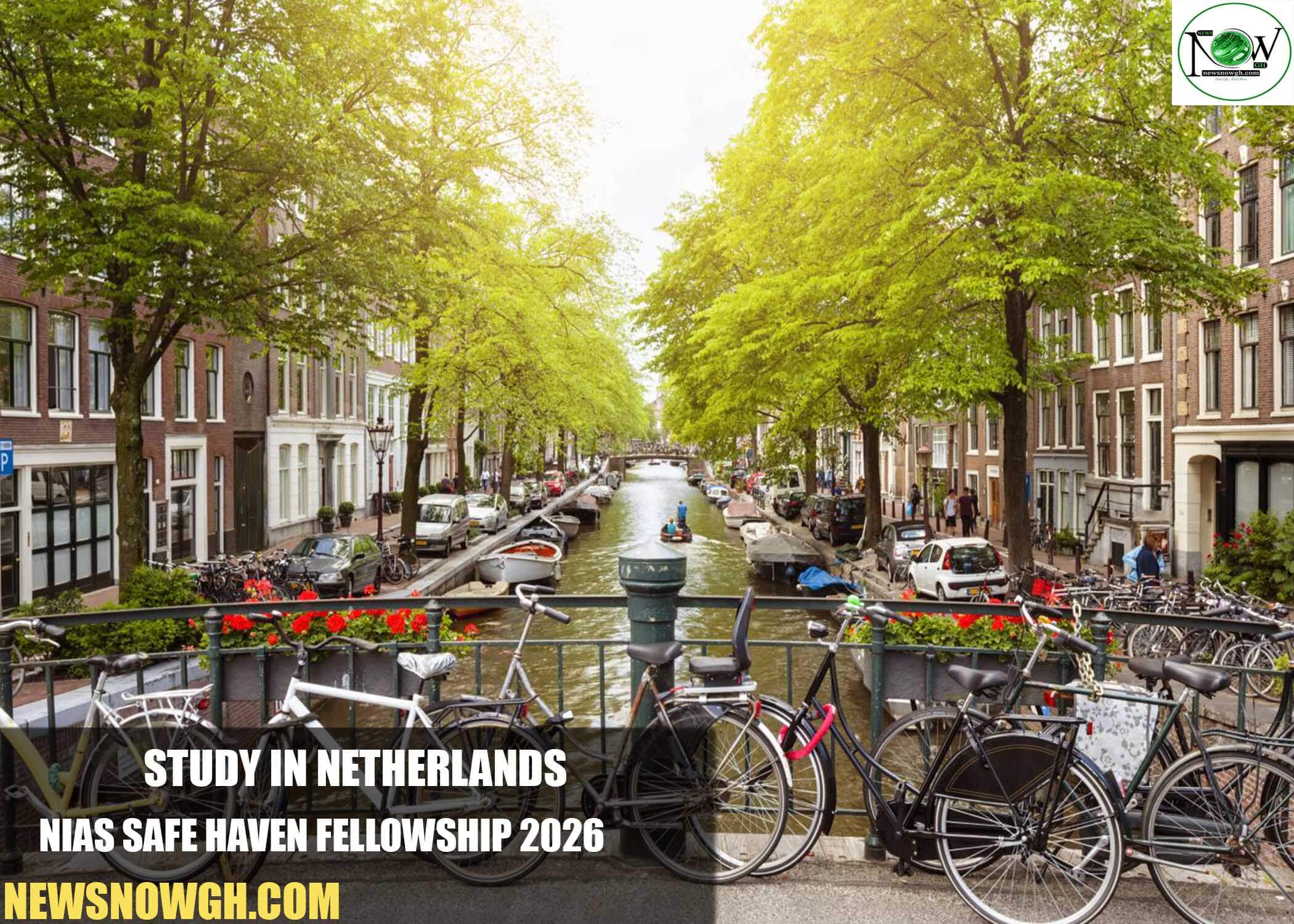 NIAS Safe Haven Fellowship