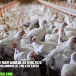 Poultry Farm Worker Job in UK 2025 | RC & SE Sayce