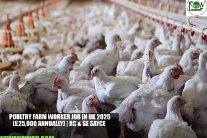 Poultry Farm Worker Job in UK 2025 | RC & SE Sayce