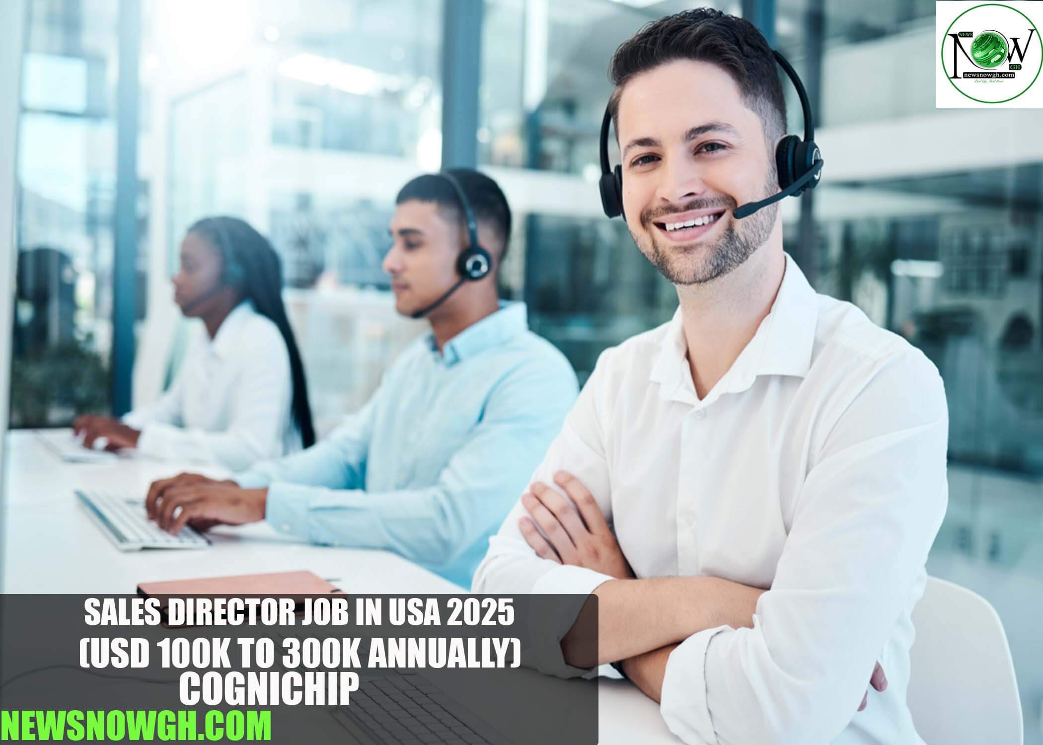 Sales Director Job in USA 2025 | Cognichip