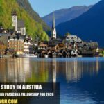 The Richard Plaschka Fellowship