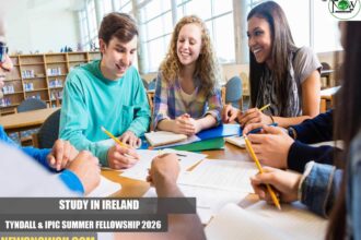 Tyndall & IPIC Summer Fellowship