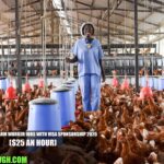 USA Poultry Farm Worker Jobs with Visa Sponsorship 2026