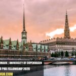 University of Copenhagen Fully Funded PhD Fellowship