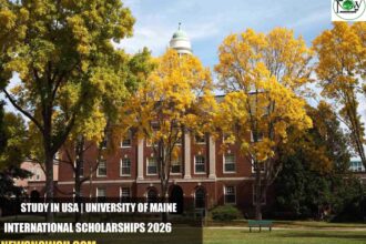 University of Maine International Scholarships