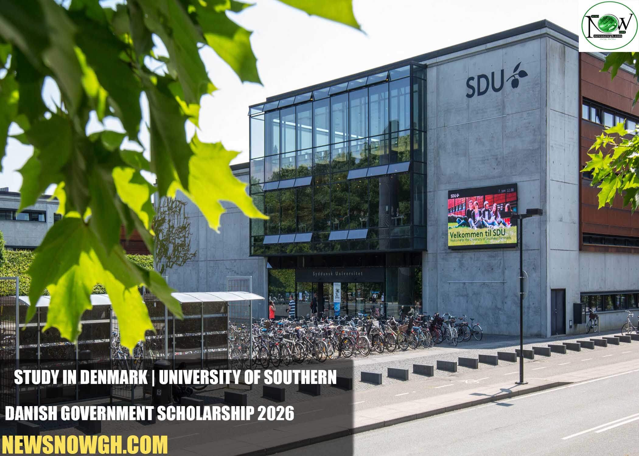 University of Southern Danish Government Scholarship