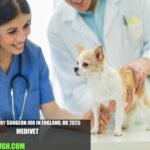 Veterinary Surgeon Job in England, UK 2025 | Medivet