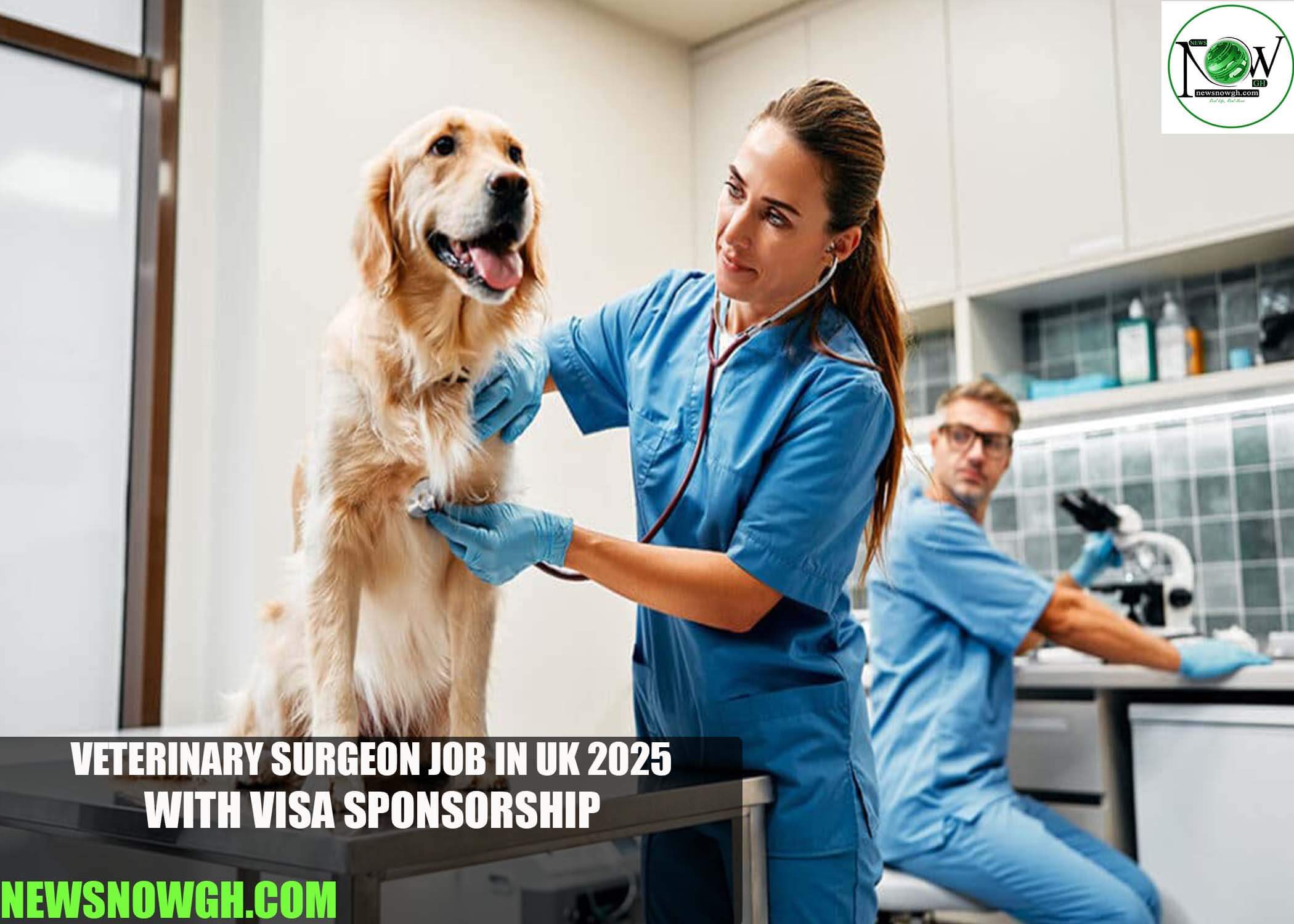 Veterinary Surgeon Job in UK 2025 with Visa Sponsorship