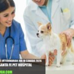 Associate Veterinarian Job in Canada 2026 | Santa Fe Pet Hospital