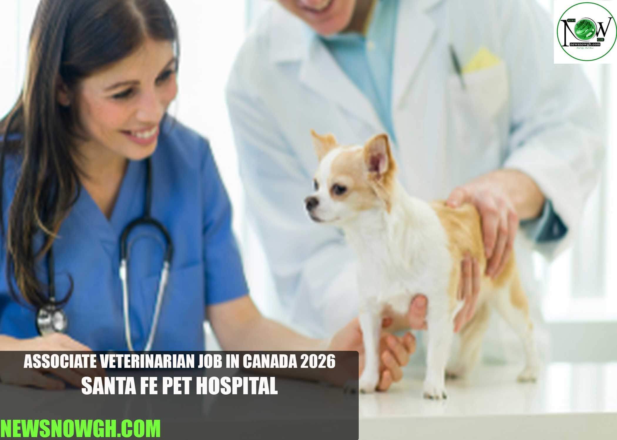 Associate Veterinarian Job in Canada 2026 | Santa Fe Pet Hospital