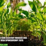 Australia Farm Assistant Manager Jobs
