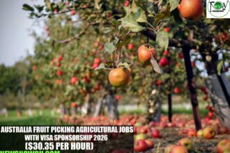 Australia Fruit Picking Agricultural Jobs