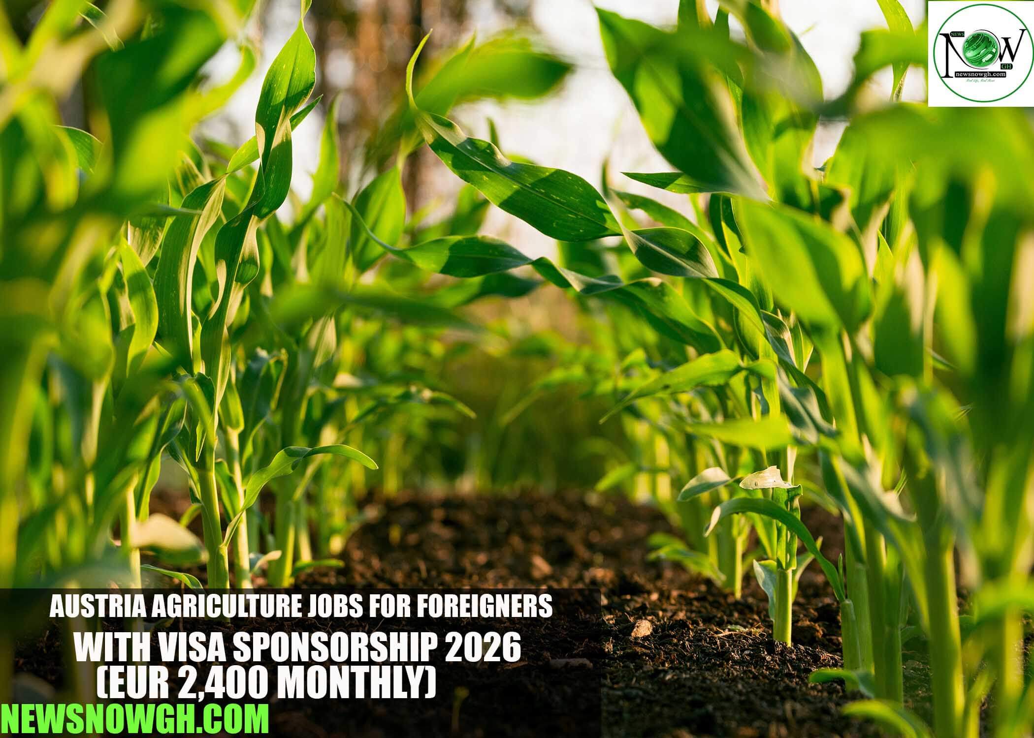 Austria Agriculture Jobs For Foreigners