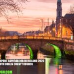 Business Export Advisor Job in Ireland 2026 | South Dublin County Council