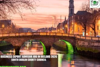 Business Export Advisor Job in Ireland 2026 | South Dublin County Council