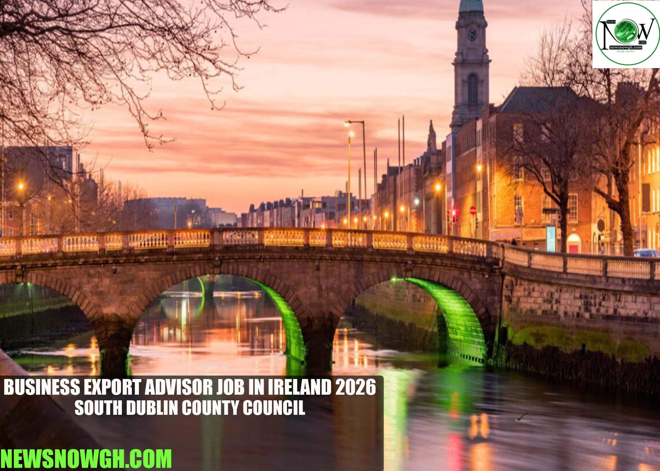 Business Export Advisor Job in Ireland 2026 | South Dublin County Council
