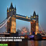 Business Sales Executive Job in UK 2025 | PICO solutions Service