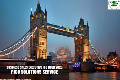 Business Sales Executive Job in UK 2025 | PICO solutions Service