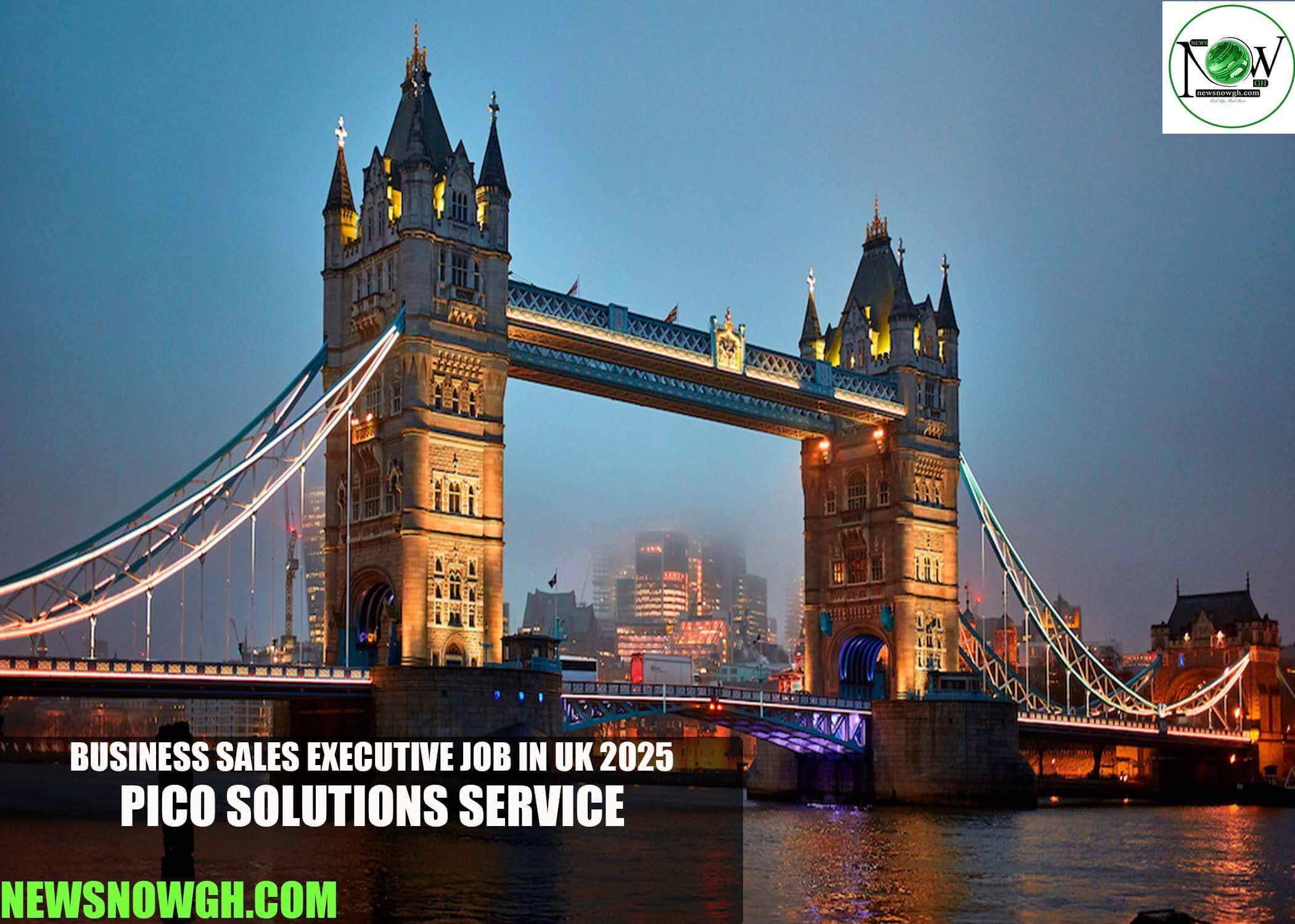 Business Sales Executive Job in UK 2025 | PICO solutions Service