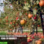 Canada Fruit Packing Jobs with Visa Sponsorship 2026