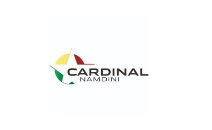 Cardinal Namdini Mining Ltd