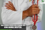 Chief Medical Officer Job in Canada 2026 | King Animal Hospital