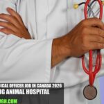 Chief Medical Officer Job in Canada 2026 | King Animal Hospital
