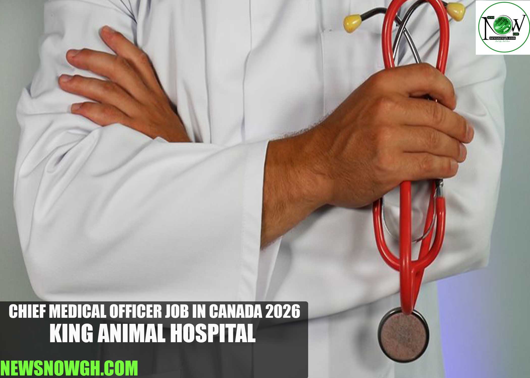 Chief Medical Officer Job in Canada 2026 | King Animal Hospital